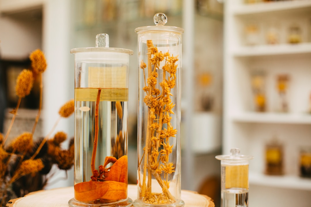 botanical herbs in laboratory jars — NHP product licence canada manufacturing