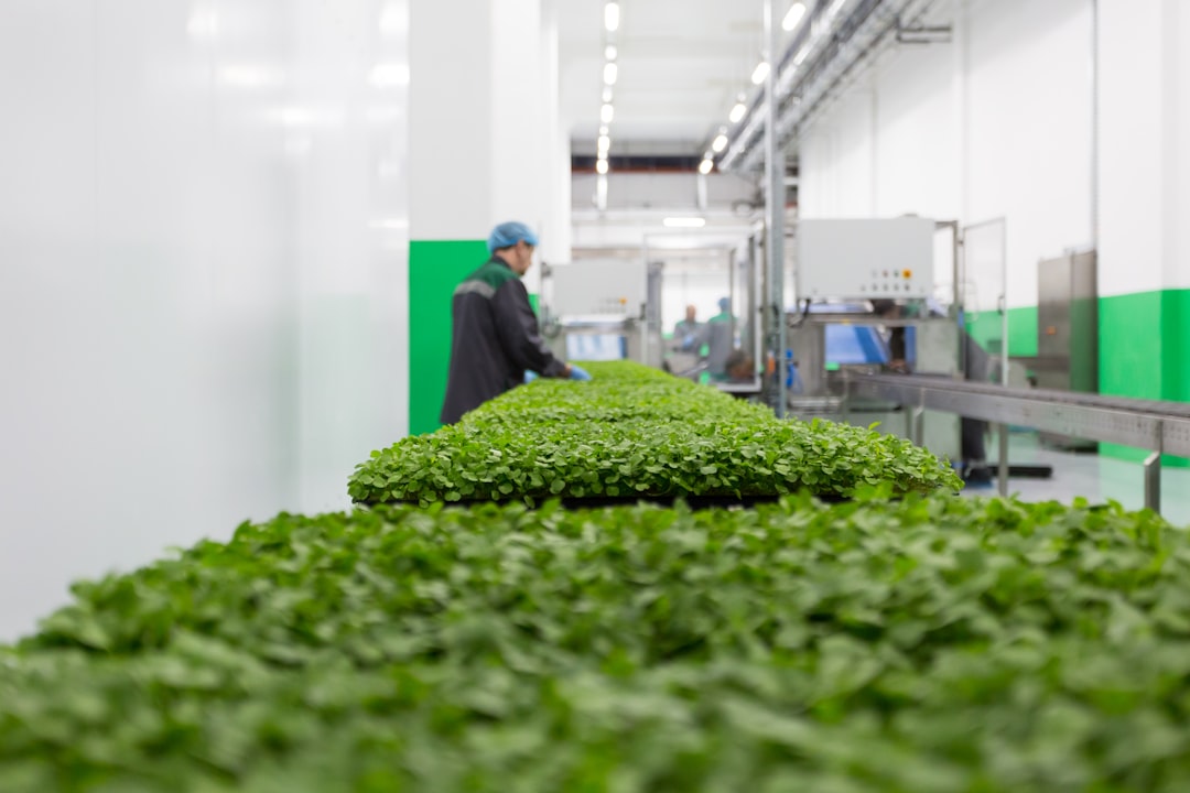 herb processing facility — NHP product licence canada manufacturing compliance