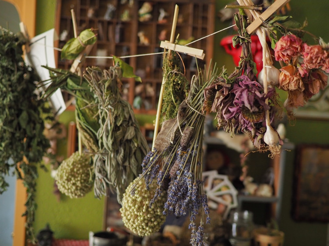 Drying botanicals in a herbal ingredient supply chain