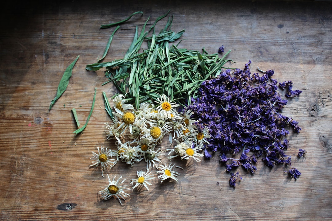 Dried botanicals prepared for powdered herbal extract manufacturing