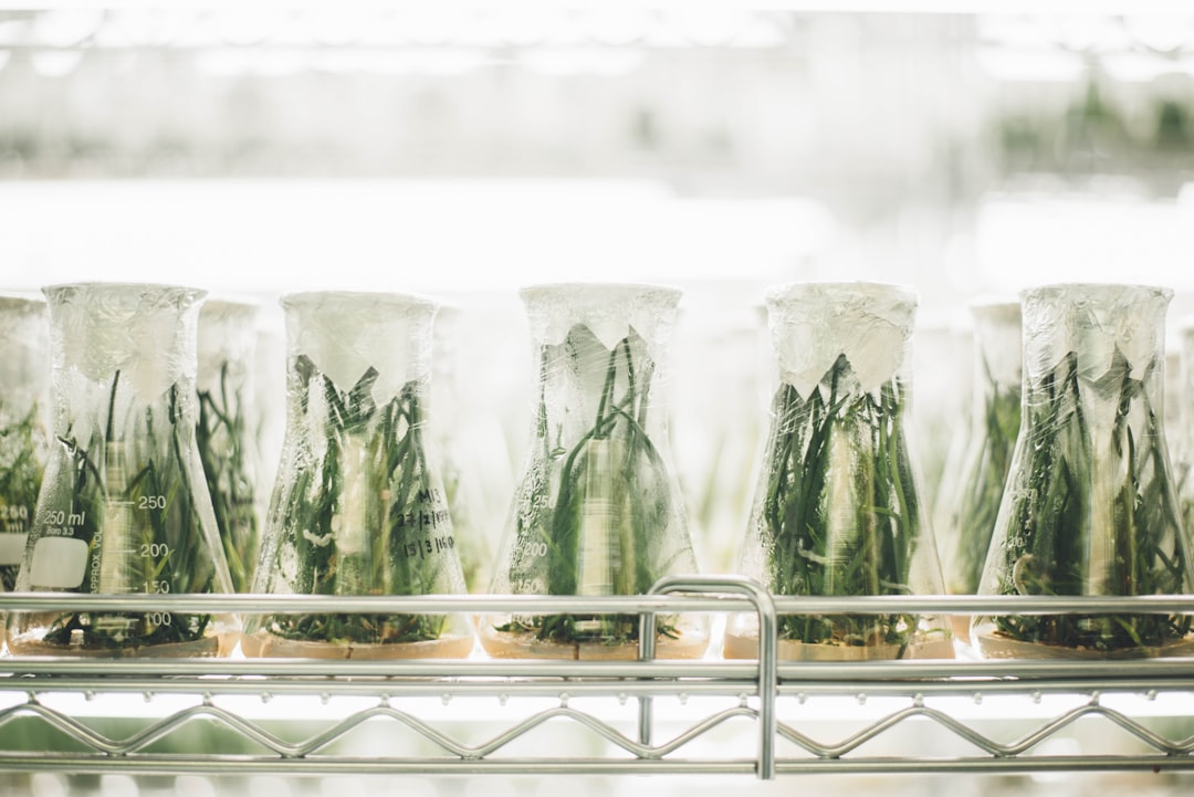 Importing herbal raw materials into Canada, CFIA cleared botanicals sampled on receipt