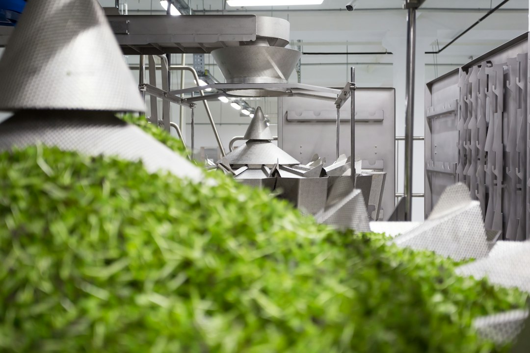 Botanical processing line of the kind used for herbal gummy contract manufacturing