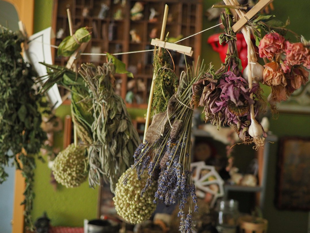 Dried botanicals drying on a line, the raw materials behind herbal extract industry standards
