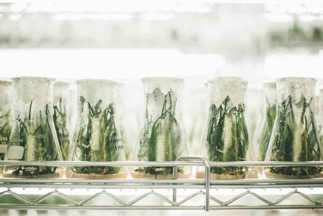 Botanical plants representing raw material selection for herbal extract manufacturing